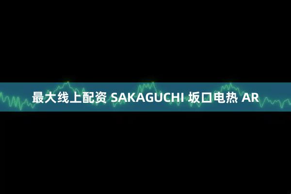 最大线上配资 SAKAGUCHI 坂口电热 AR